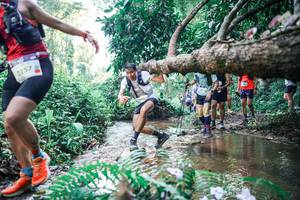 BIB: 
                            <button type="button" onclick="openModal(25454509)" class="btn btn-primary btn-sm float-right btn-popup" data-toggle="modal" data-target=".modal-high-quality">
                        <i class="fas fa-shopping-cart"></i> Add to Cart
                    </button>
                                            <button type="button" onclick="isThisMe(25454509, true)" class="btn btn-success btn-sm float-right btn-popup btn-isme hidden" data-toggle="tooltip" data-placement="bottom" title="นี่คือรูปของคุณใช่ไหม คลิกที่นี่เพื่อเอาเข้าอัลบั้ม">
                        <i class="fas fa-plus"></i> Add to album
                    </button>
                    <button type="button" onclick="isThisMe(25454509, false)" class="btn btn-warning btn-sm float-right btn-popup btn-isnotme hidden">
                        <i class="fas fa-ban"></i> Remove from album
                    </button>